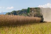 Futtermittelbilanz bleibt stabil