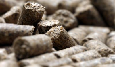 Die VSF fordert Reduktion der Grenzbelastung bei Importen von Nebenprodukten